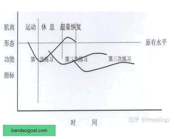 卡莱尔透露哈利伯顿伤病恢复顺利 已开始进行力量训练